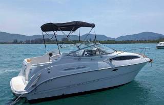 Bayliner 245 Ciera - Mercruiser 5.0L/Udstyr