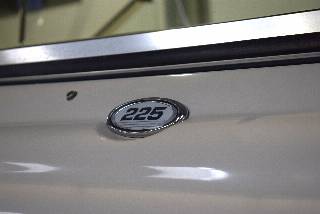 Searay 225 Weekender - MerCruiser 5,0 V8